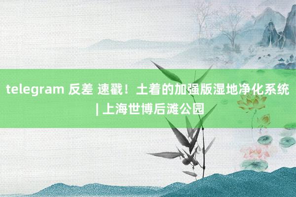 telegram 反差 速戳！土着的加强版湿地净化系统 | 上海世博后滩公园