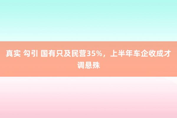 真实 勾引 国有只及民营35%，上半年车企收成才调悬殊