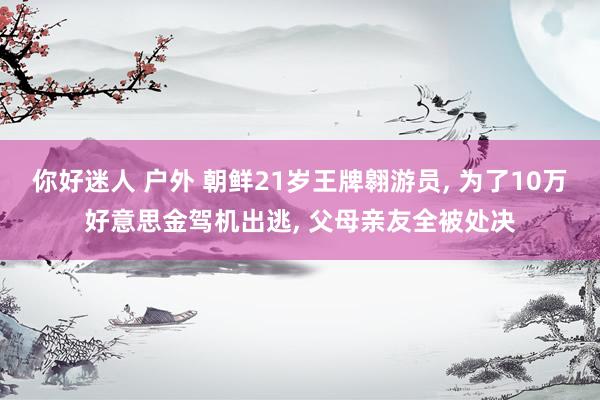 你好迷人 户外 朝鲜21岁王牌翱游员， 为了10万好意思金驾机出逃， 父母亲友全被处决