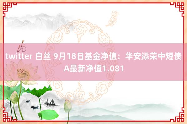 twitter 白丝 9月18日基金净值：华安添荣中短债A最新净值1.081