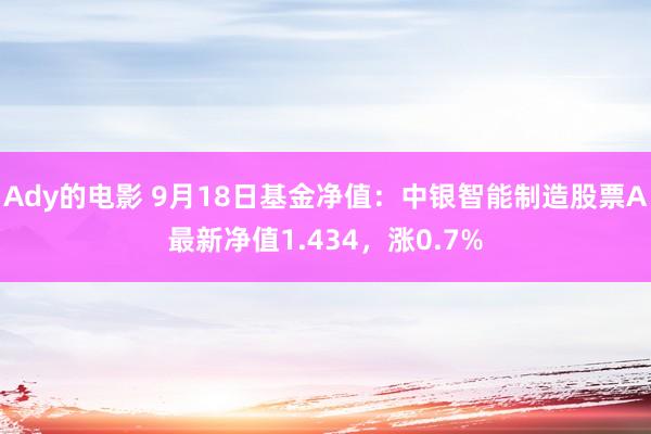 Ady的电影 9月18日基金净值：中银智能制造股票A最新净值1.434，涨0.7%