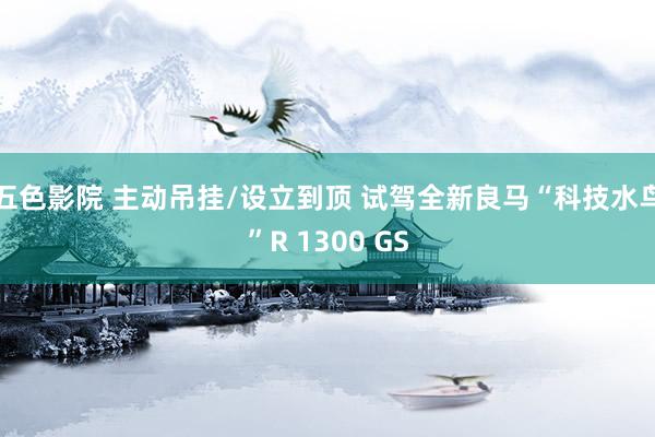 五色影院 主动吊挂/设立到顶 试驾全新良马“科技水鸟”R 1300 GS