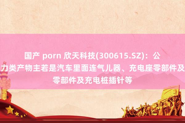 国产 porn 欣天科技(300615.SZ)：公司分娩的新动力类产物主若是汽车里面连气儿器、充电座零部件及充电桩插针等