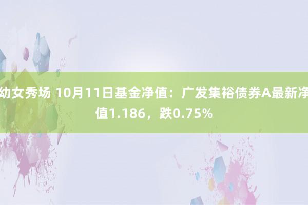 幼女秀场 10月11日基金净值：广发集裕债券A最新净值1.186，跌0.75%