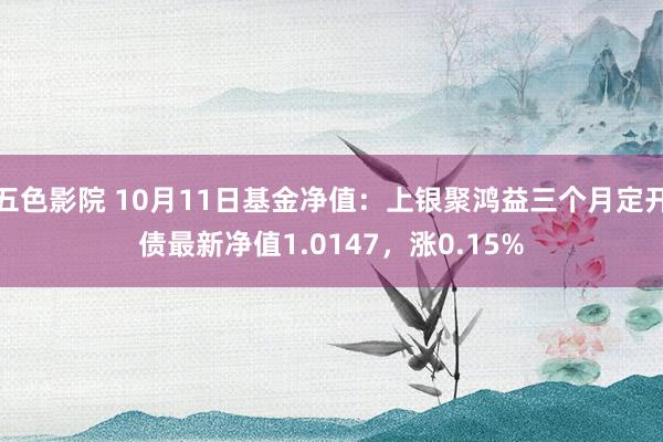 五色影院 10月11日基金净值：上银聚鸿益三个月定开债最新净值1.0147，涨0.15%