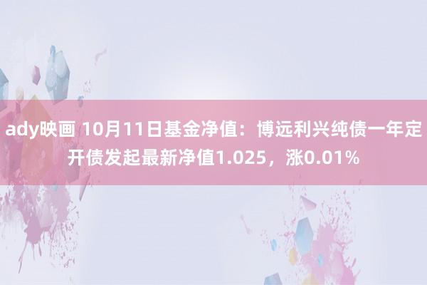 ady映画 10月11日基金净值：博远利兴纯债一年定开债发起最新净值1.025，涨0.01%