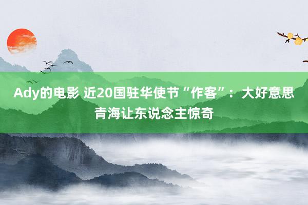 Ady的电影 近20国驻华使节“作客”：大好意思青海让东说念主惊奇