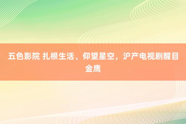 五色影院 扎根生活、仰望星空，沪产电视剧醒目金鹰