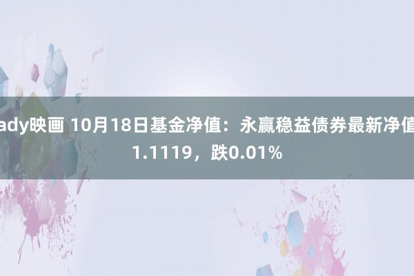 ady映画 10月18日基金净值：永赢稳益债券最新净值1.1119，跌0.01%