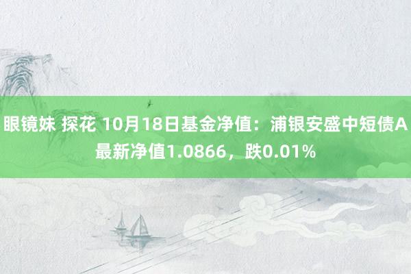 眼镜妹 探花 10月18日基金净值：浦银安盛中短债A最新净值1.0866，跌0.01%