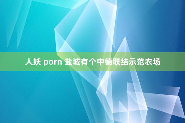 人妖 porn 盐城有个中德联结示范农场