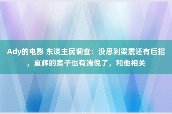 Ady的电影 东谈主民调查：没思到梁震还有后招，夏辉的案子也有端倪了，和他相关