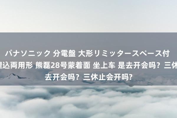 パナソニック 分電盤 大形リミッタースペース付 露出・半埋込両用形 熊磊28号蒙着面 坐上车 是去开会吗？三休止会开吗?