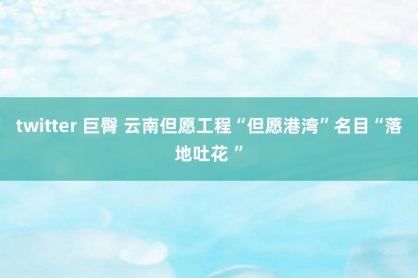 twitter 巨臀 云南但愿工程“但愿港湾”名目“落地吐花 ”