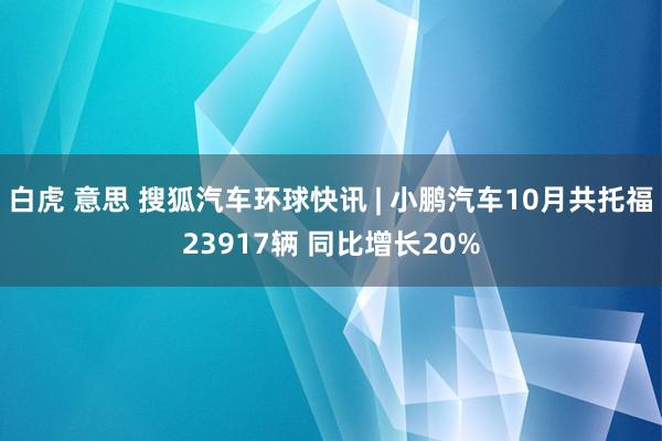 白虎 意思 搜狐汽车环球快讯 | 小鹏汽车10月共托福23917辆 同比增长20%