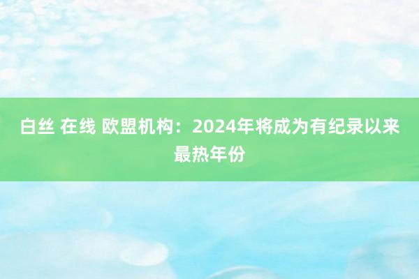 白丝 在线 欧盟机构：2024年将成为有纪录以来最热年份