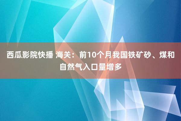 西瓜影院快播 海关：前10个月我国铁矿砂、煤和自然气入口量增多