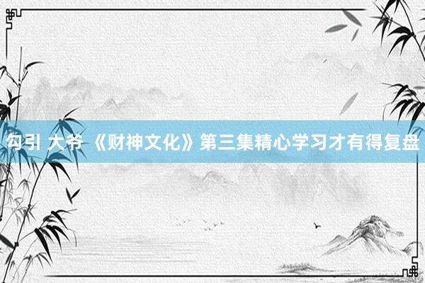 勾引 大爷 《财神文化》第三集精心学习才有得复盘