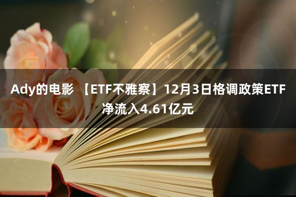 Ady的电影 【ETF不雅察】12月3日格调政策ETF净流入4.61亿元