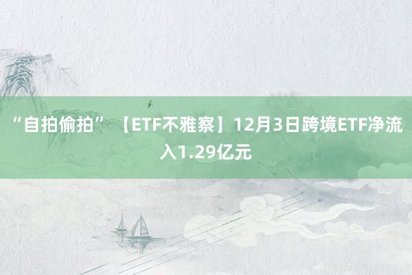 “自拍偷拍” 【ETF不雅察】12月3日跨境ETF净流入1.29亿元