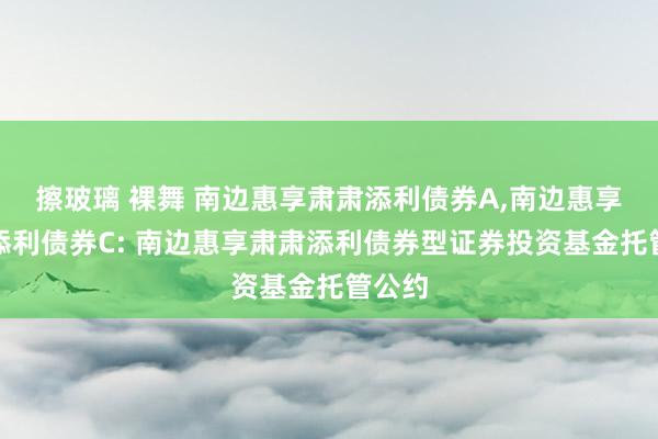 擦玻璃 裸舞 南边惠享肃肃添利债券A，南边惠享肃肃添利债券C: 南边惠享肃肃添利债券型证券投资基金托管公约