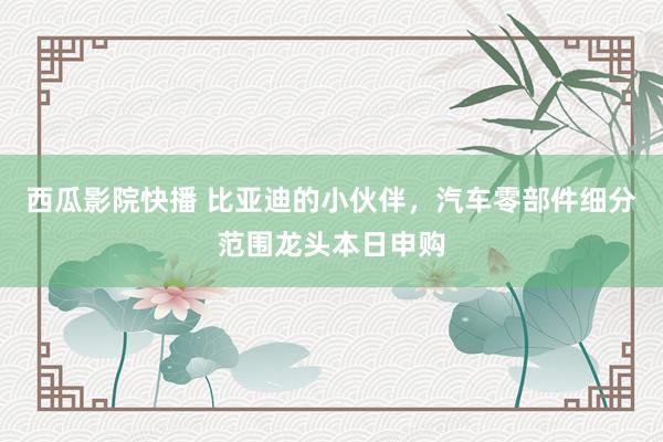 西瓜影院快播 比亚迪的小伙伴，汽车零部件细分范围龙头本日申购