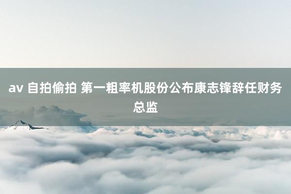 av 自拍偷拍 第一粗率机股份公布康志锋辞任财务总监