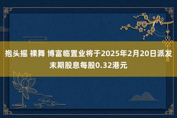 抱头摇 裸舞 博富临置业将于2025年2月20日派发末期股息每股0.32港元