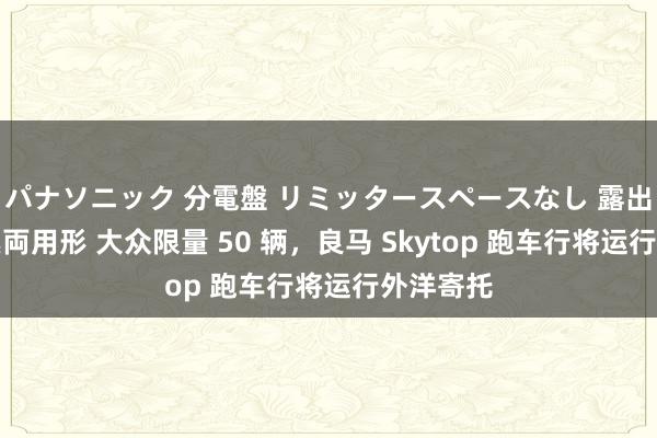 パナソニック 分電盤 リミッタースペースなし 露出・半埋込両用形 大众限量 50 辆，良马 Skytop 跑车行将运行外洋寄托