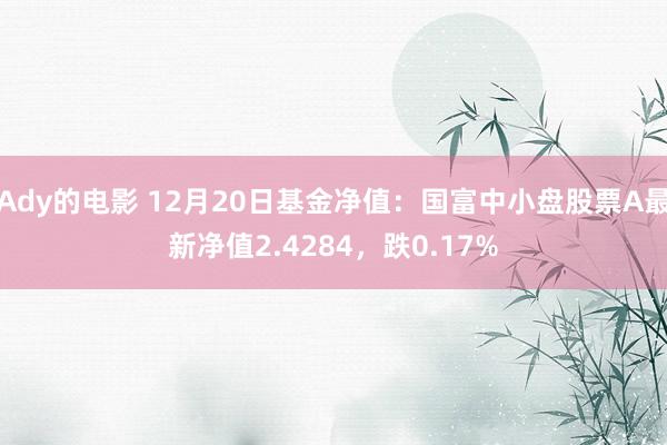 Ady的电影 12月20日基金净值：国富中小盘股票A最新净值2.4284，跌0.17%