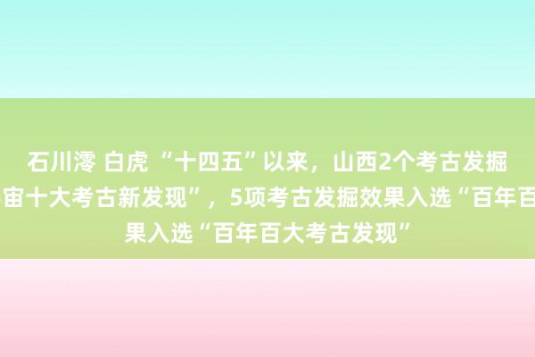 石川澪 白虎 “十四五”以来，山西2个考古发掘神志入选“宇宙十大考古新发现”，5项考古发掘效果入选“百年百大考古发现”