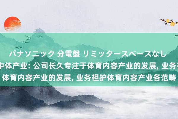 パナソニック 分電盤 リミッタースペースなし 露出・半埋込両用形 中体产业: 公司长久专注于体育内容产业的发展， 业务袒护体育内容产业各范畴