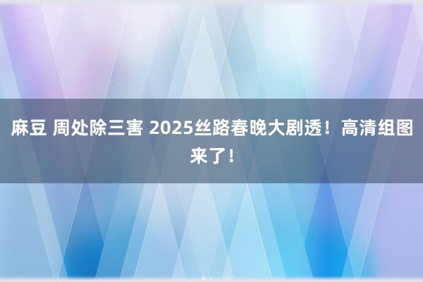 麻豆 周处除三害 2025丝路春晚大剧透！高清组图来了！