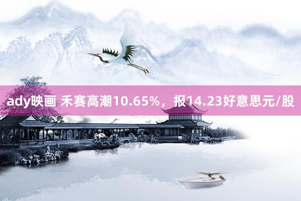 ady映画 禾赛高潮10.65%，报14.23好意思元/股