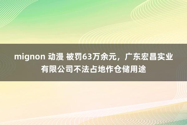 mignon 动漫 被罚63万余元，广东宏昌实业有限公司不法占地作仓储用途