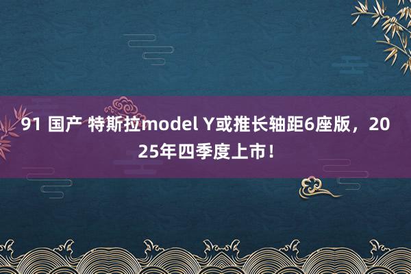 91 国产 特斯拉model Y或推长轴距6座版，2025年四季度上市！