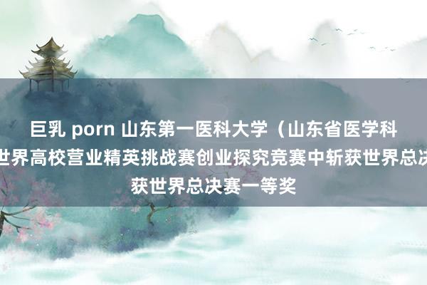 巨乳 porn 山东第一医科大学（山东省医学科学院）在世界高校营业精英挑战赛创业探究竞赛中斩获世界总决赛一等奖