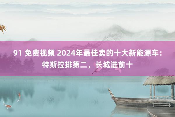 91 免费视频 2024年最佳卖的十大新能源车：特斯拉排第二，长城进前十