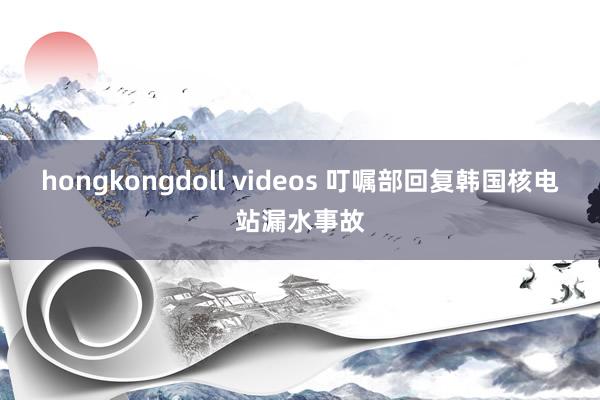 hongkongdoll videos 叮嘱部回复韩国核电站漏水事故