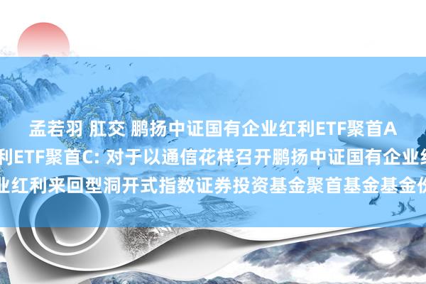 孟若羽 肛交 鹏扬中证国有企业红利ETF聚首A，鹏扬中证国有企业红利ETF聚首C: 对于以通信花样召开鹏扬中证国有企业红利来回型洞开式指数证券投资基金聚首基金基金份额握有东说念主大会的公告